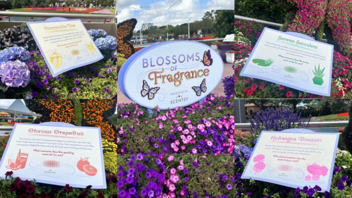 Sniff, Smile, and Remember: Scentsy at EPCOT's Flower and Garden Festival! 1 Scentsy