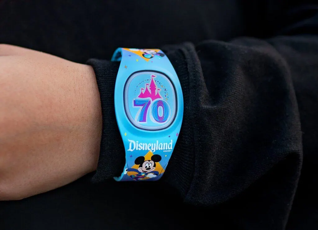 Disneyland 70th Anniversary: Shop & Savor the Celebration 3