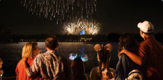 DVC