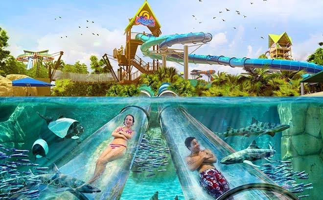 Make a Splash: The Top 10 Outdoor Water Parks You Need to Visit in the US! 4 Top 10 Outdoor Water Parks