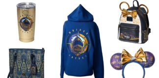 disney destiny merch