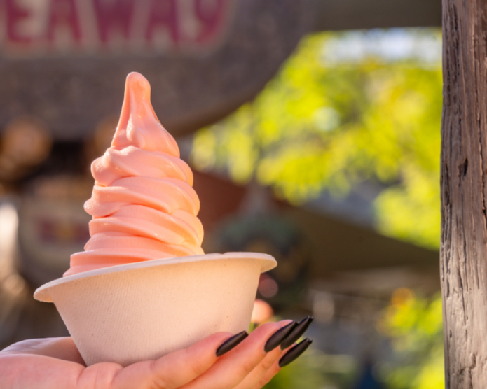 Celebrate National Ice Cream Day at Walt Disney World Today! 2