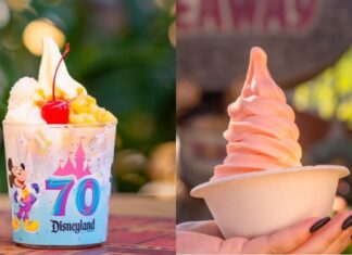 DOLE Whip Peach Flavor