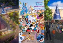 Disney Animation Experience