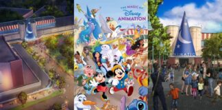 Disney Animation Experience