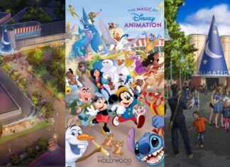 Disney Animation Experience