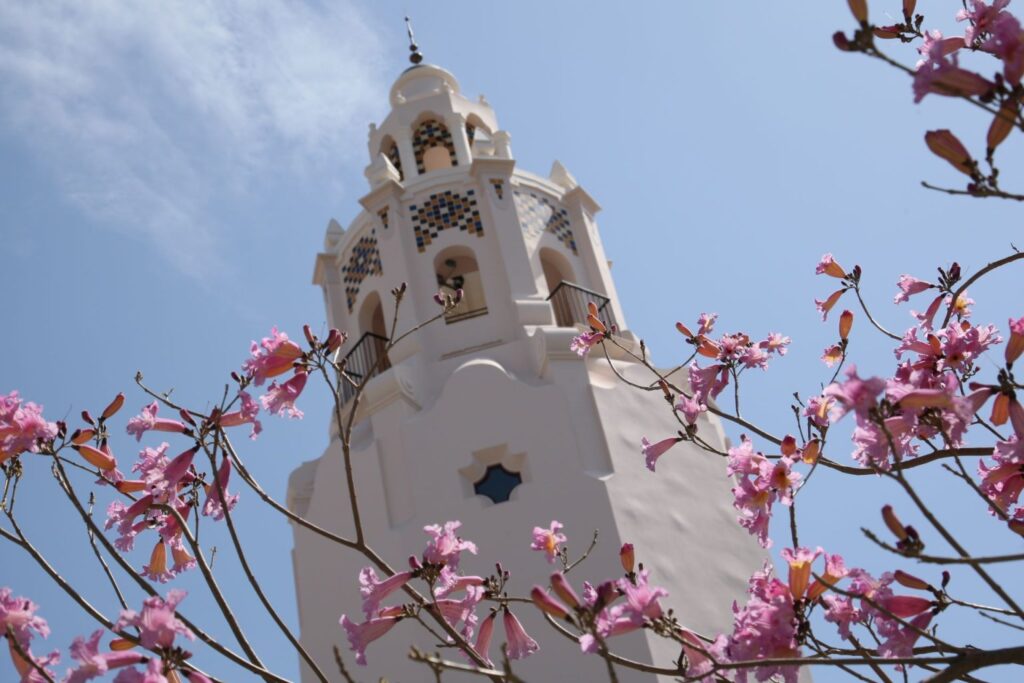 Our Favorite Places to Eat in Disney California Adventure 2025 Edition 1 Disney california