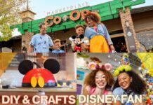 Disney Springs