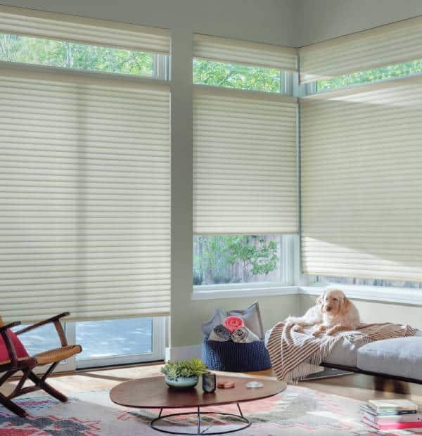 Bright room with large windows, cream blinds, and a relaxing atmosphere.