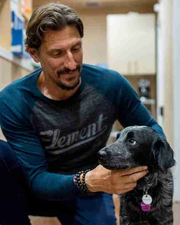 Rescue Assessments - Pet Training Services