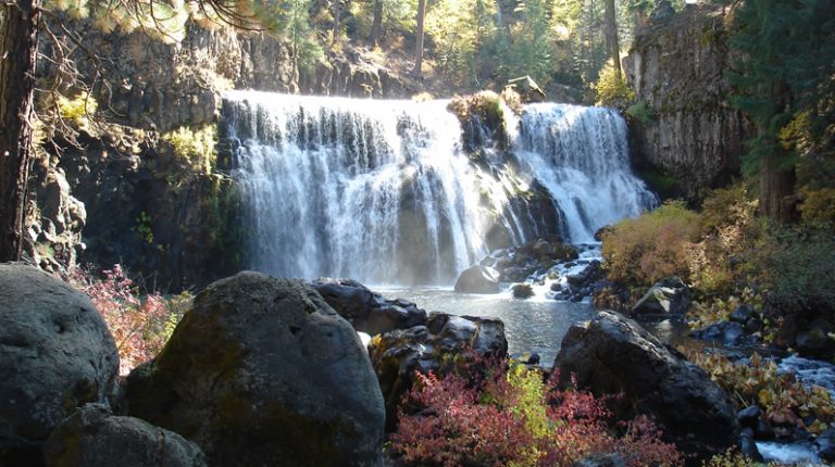 See you in Siskiyou