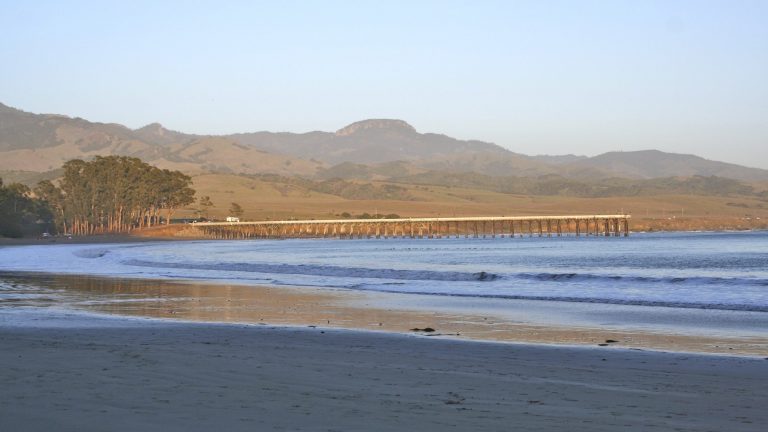 Dog-friendly san simeon cove