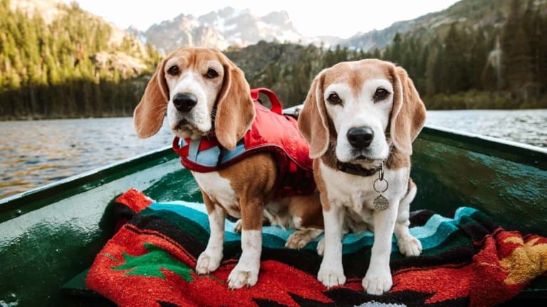 Get your Buttes in gear