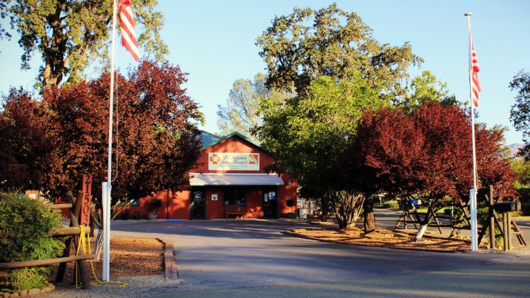 Middletown Animal Hospital