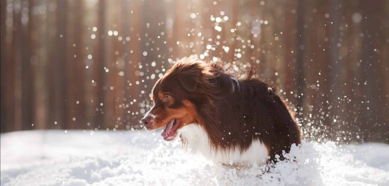 Balsam Meadows SNO-Park