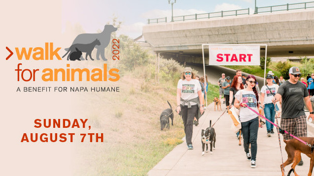 Napa Humane’s annual Walk for Animals is back, live!