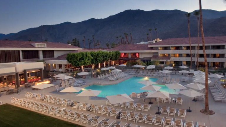 A vibrant dog park bathed in sunlight features abundant greenery with mature trees, offering ample shade for leisurely outdoor activities. In the distance is a well-equipped playground that presents an additional activity area. An inviting picnic table spreads out nearby, ideal for enjoying meals al fresco or taking relaxing breaks from play. A neatly-placed trash bin aids in maintaining the park's cleanliness for everyone's enjoyment. Dominating the scene is a generously wide dirt path gracefully curving through the expanse of grass, promising exploratory walks and lively fetch games.