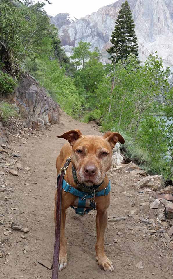 Convict Lake trail