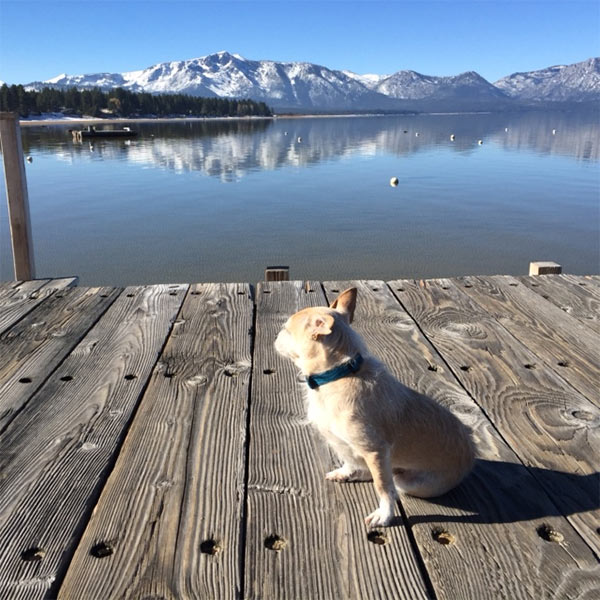 Dreyfuss checks out the view