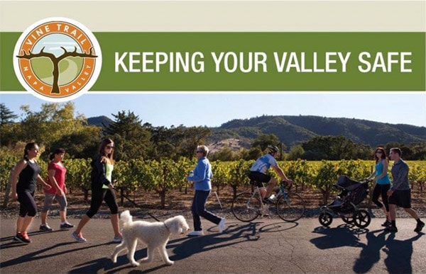 A vibrant dog park bathed in sunlight features abundant greenery with mature trees, offering ample shade for leisurely outdoor activities. In the distance is a well-equipped playground that presents an additional activity area. An inviting picnic table spreads out nearby, ideal for enjoying meals al fresco or taking relaxing breaks from play. A neatly-placed trash bin aids in maintaining the park's cleanliness for everyone's enjoyment. Dominating the scene is a generously wide dirt path gracefully curving through the expanse of grass, promising exploratory walks and lively fetch games.