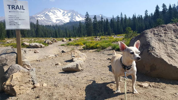 Make time for Mount Shasta