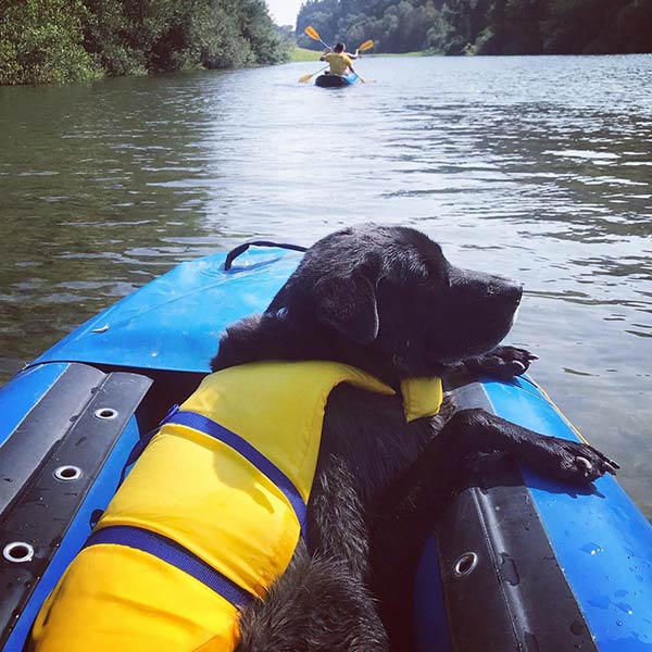Get your float on in Sonoma Wine Country!
