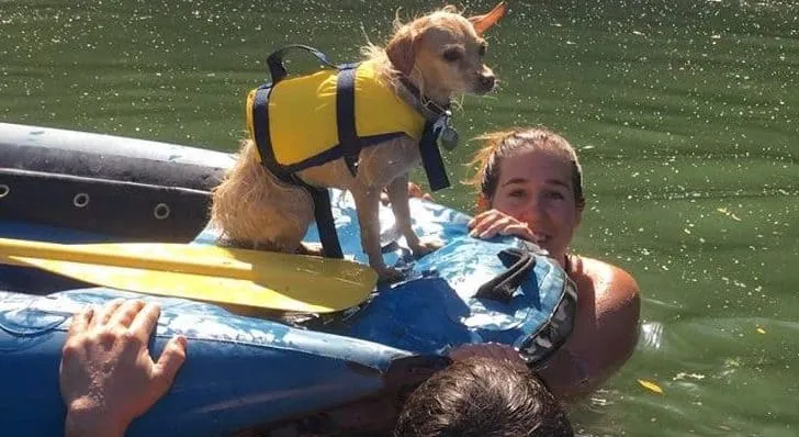 Russian River adventures
