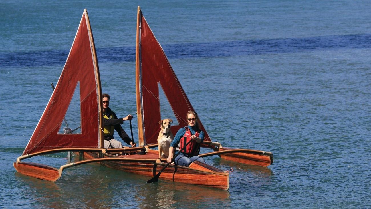 A vibrant dog park bathed in sunlight features abundant greenery with mature trees, offering ample shade for leisurely outdoor activities. In the distance is a well-equipped playground that presents an additional activity area. An inviting picnic table spreads out nearby, ideal for enjoying meals al fresco or taking relaxing breaks from play. A neatly-placed trash bin aids in maintaining the park's cleanliness for everyone's enjoyment. Dominating the scene is a generously wide dirt path gracefully curving through the expanse of grass, promising exploratory walks and lively fetch games.