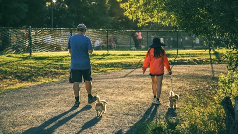 Where to hike in Concord