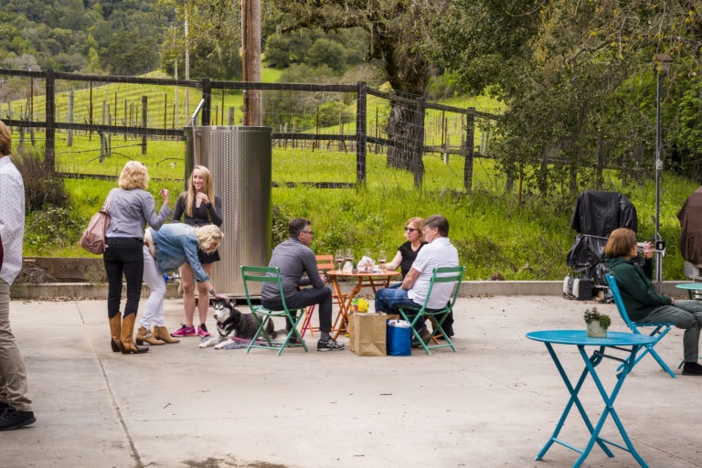 Eat, drink and be hairy: Dog-friendly restaurants and wineries in Gilroy, CA