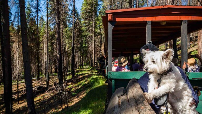 All aboard for Gold Country history