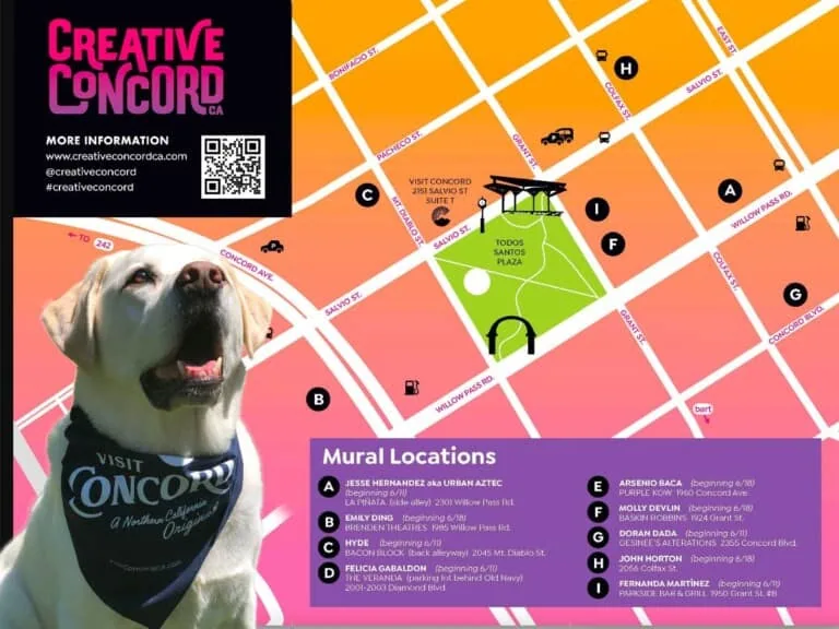 Engage with Concord’s creative side
