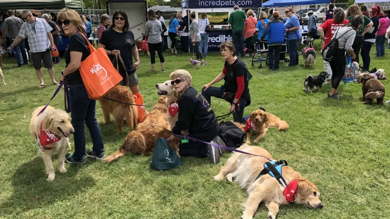 Special events for you and your dog
