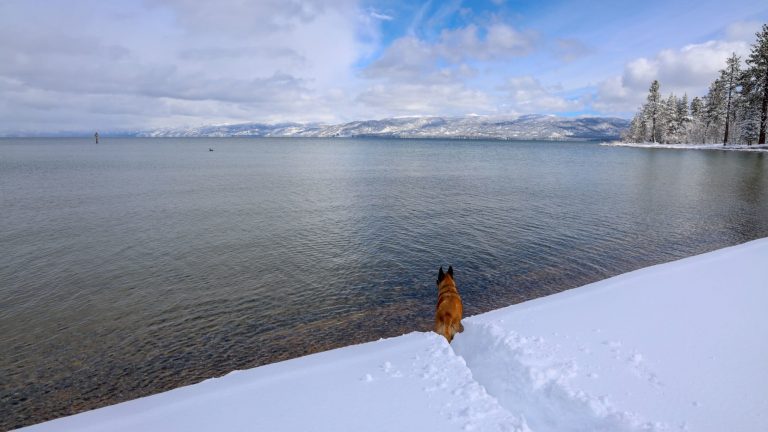 Lake Tahoe is a winter wonderland