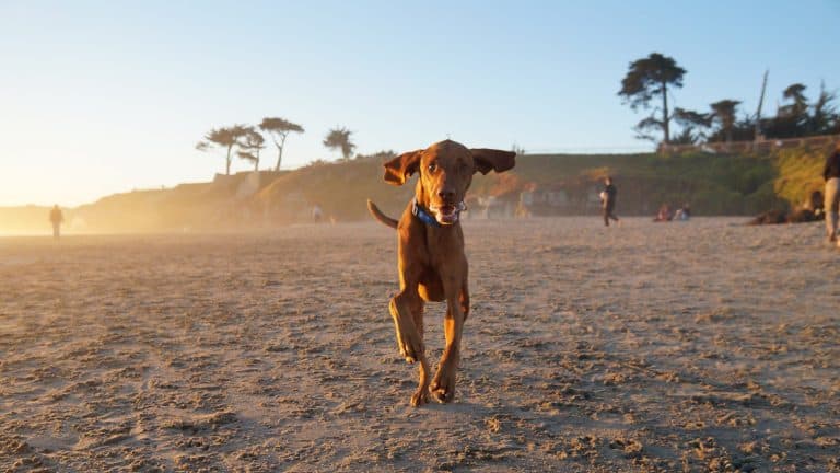 Surf towns and sand on the Central Coast