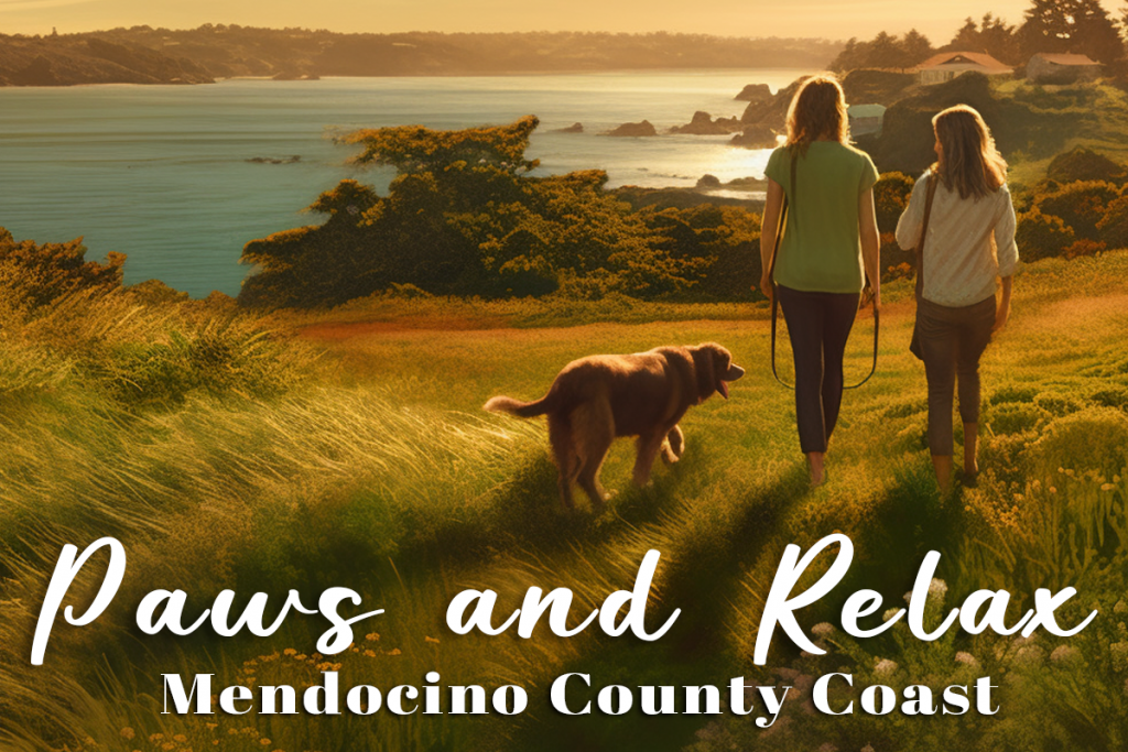 Two people walk a dog along a coastal trail surrounded by lush greenery, with a sunset in the background. The text