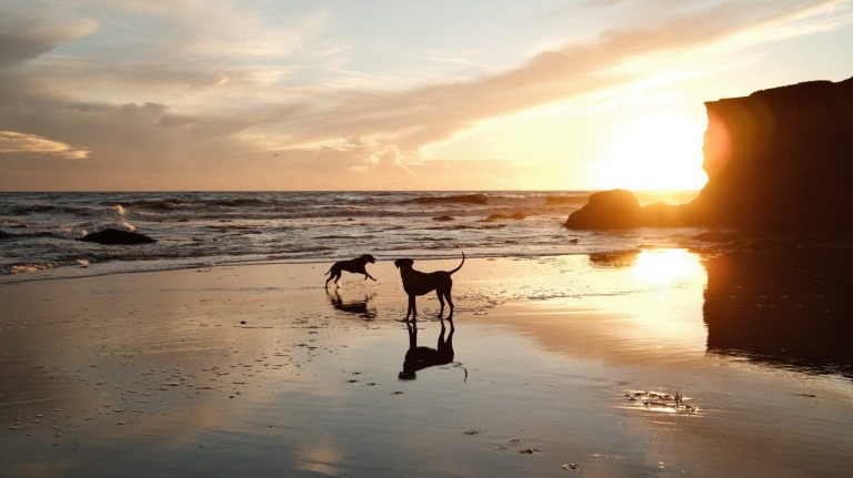Surf and sand in Santa Cruz