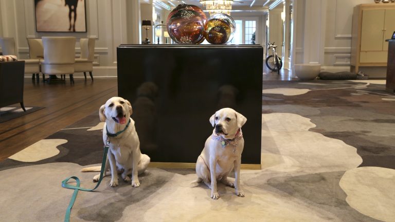 Check into a Berkeley classic, the Claremont Club & Spa