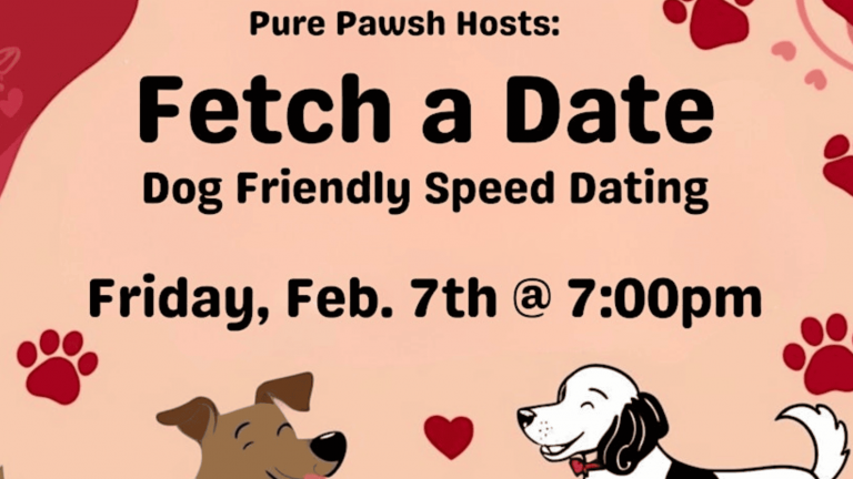 A vibrant dog park bathed in sunlight features abundant greenery with mature trees, offering ample shade for leisurely outdoor activities. In the distance is a well-equipped playground that presents an additional activity area. An inviting picnic table spreads out nearby, ideal for enjoying meals al fresco or taking relaxing breaks from play. A neatly-placed trash bin aids in maintaining the park's cleanliness for everyone's enjoyment. Dominating the scene is a generously wide dirt path gracefully curving through the expanse of grass, promising exploratory walks and lively fetch games.