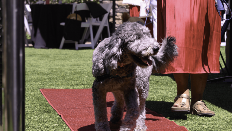 Wag, Wine & Dine 2025