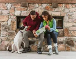 A man and woman with a dog on a stone bench at Big Bear Lake study a map.