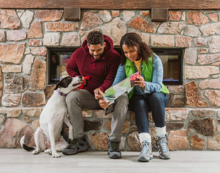 Big Bear Lake pet-friendly lodging for every travel tribe