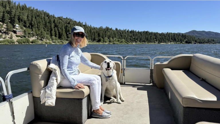 Wagging tails and water play in Big Bear Lake