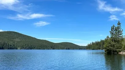 Putah Canyon Campground: Dog-friendly camping on Lake Berryessa