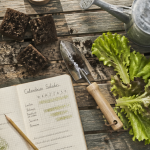 quand planter des salades outils graines calendrier