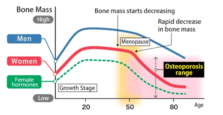 Line graph comparing bone mass changes in men and women from growth through old age, showing menopause impact and osteoporosis range.