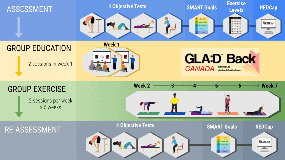 GLA:D Back Program exercise and assessment chart for back health.
