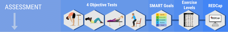 Illustration of GLA:D Back Program exercises and assessment process.