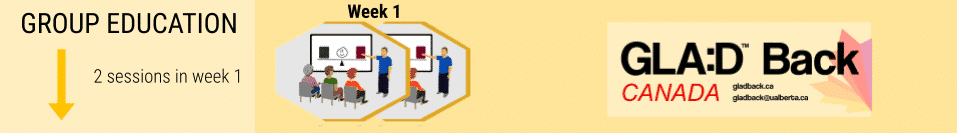 GLA:D Back program session with group education and exercises for back health.