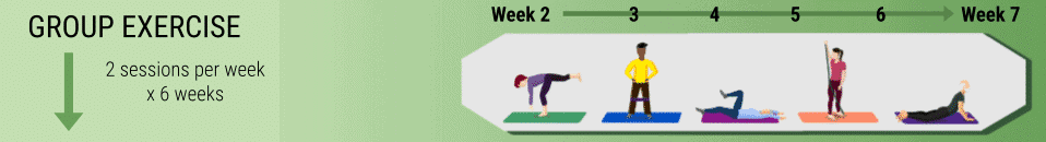 Back exercise routine for GLA:D Back Program, focusing on strengthening and mobility.